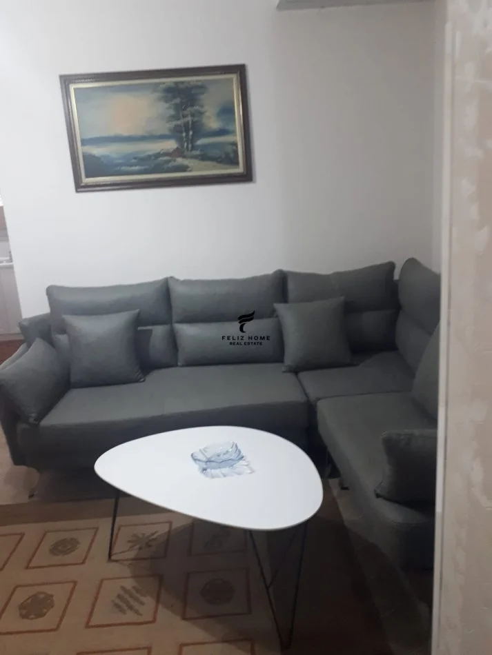 Tirane, affitto mensile appartamento 3+1+Balcone Piano 1, 162 m² 750 € (ZOGU I ZI)