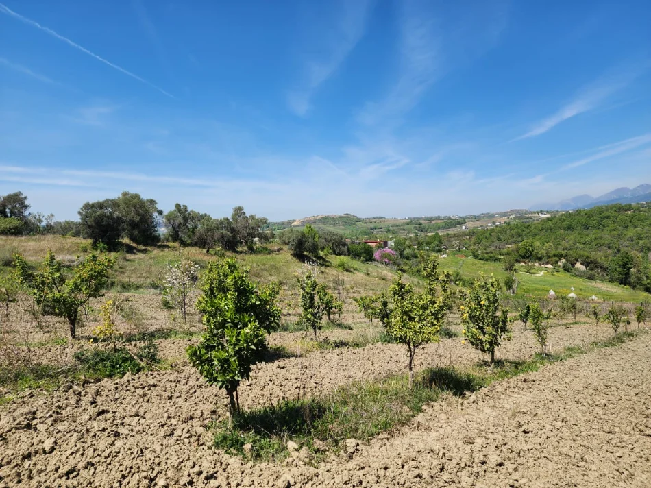 FOR SALE: 3221m2 LAND 📍 In Qeha, 5 Minutes from Mulleti (€95/m² Ultra Deal) ((€297,000))💣