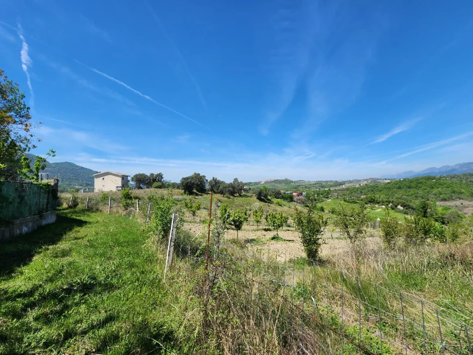 FOR SALE: 3221m2 LAND 📍 In Qeha, 5 Minutes from Mulleti (€95/m² Ultra Deal) ((€297,000))💣