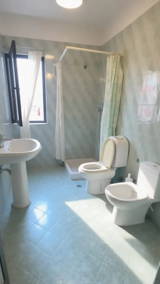 Tirane, affitto appartamento 1+1 Piano 5, 65 m² 400 € (Piazza Kinostudio)