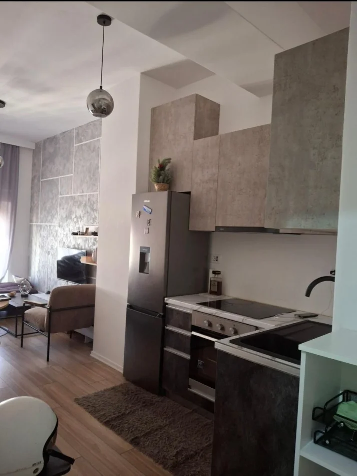 Tirane, Apartment 1+1 for Rent, 8th Floor, 60 m², €440 (Ali Demi)
