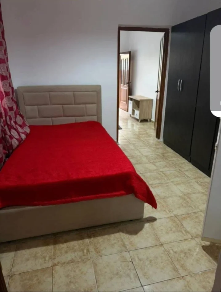 Tirane, apartment for rent 1+1 First floor, 50 m² 300 € (Alias)