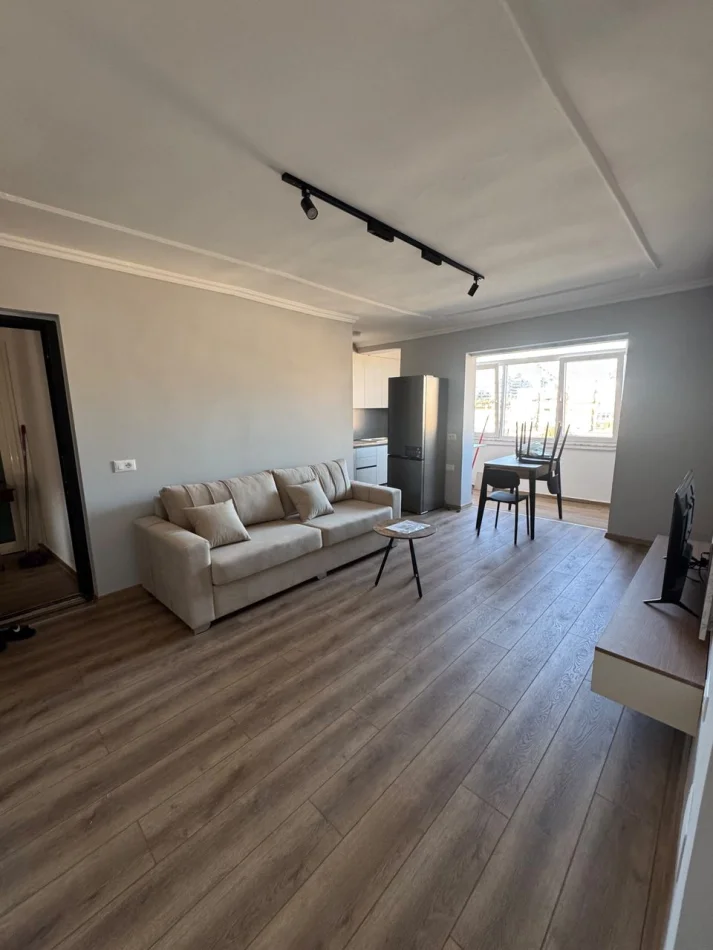 Tirana, Apartment for Rent 1+1, 6th Floor, 55 m², €650 (Vasil Shanto)