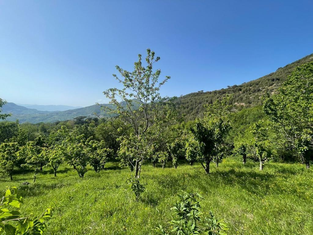 Toke 3.900 m² e casa private 162 m² + 80 m² tavernë