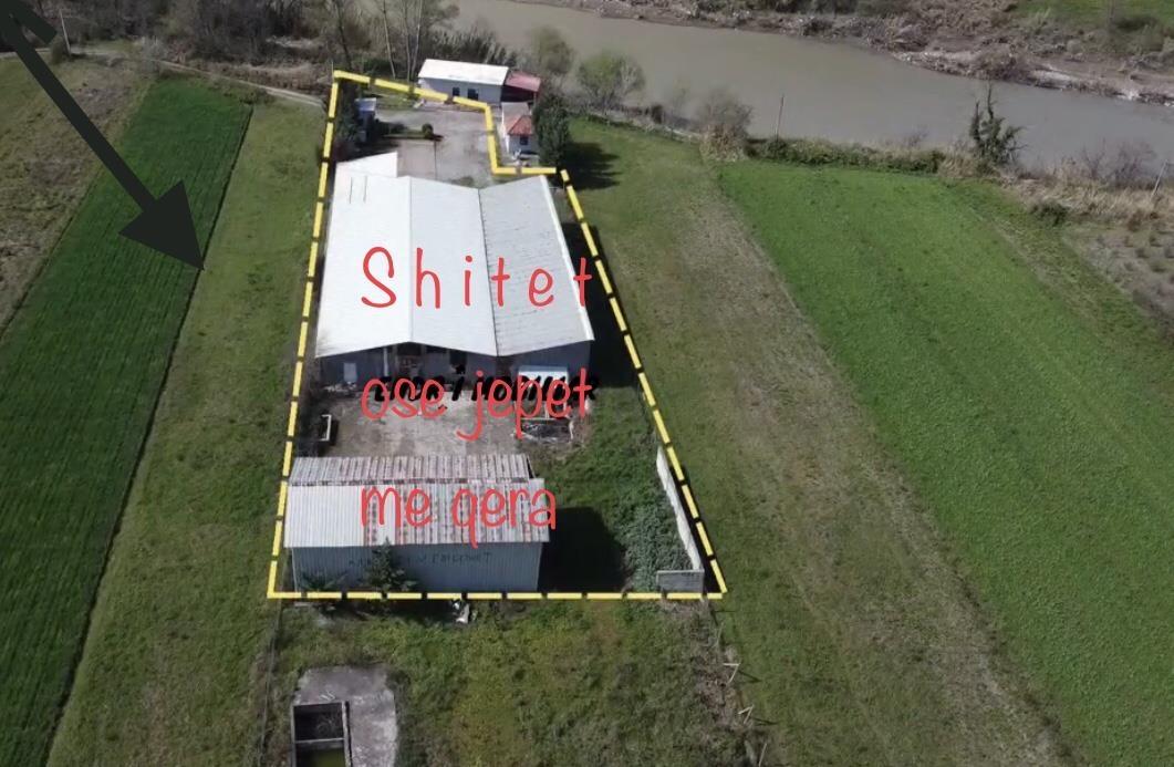 Shitet ose jepen me Qera