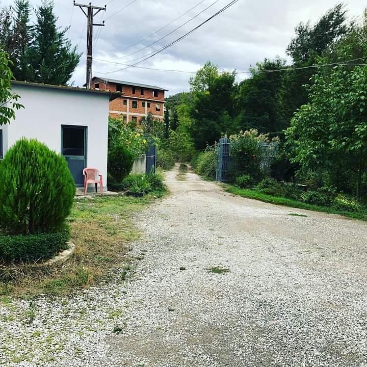 Vendo o affitto 2 capannoni