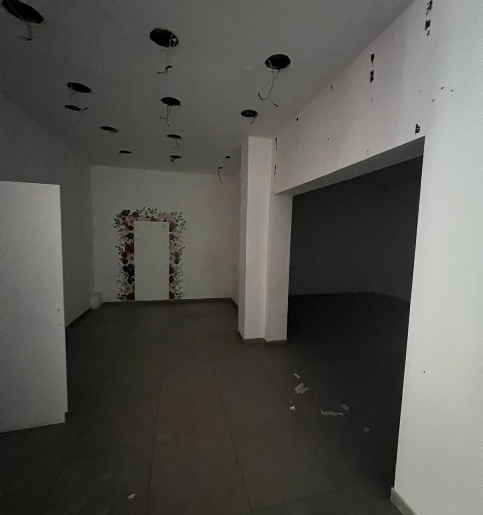 JEPET ME QERA AMBIENT BIZNESI 306M2 SHESHI WILLSON