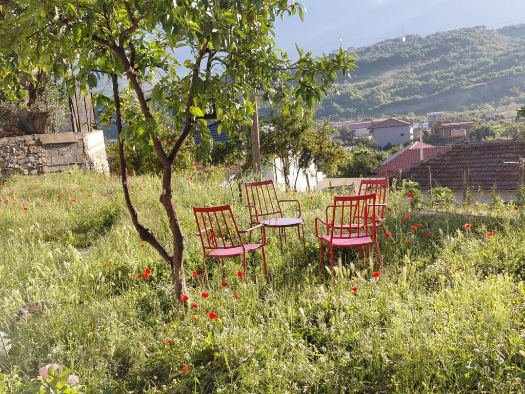 Vilë in affitto a Bërzhitë, Tirana
