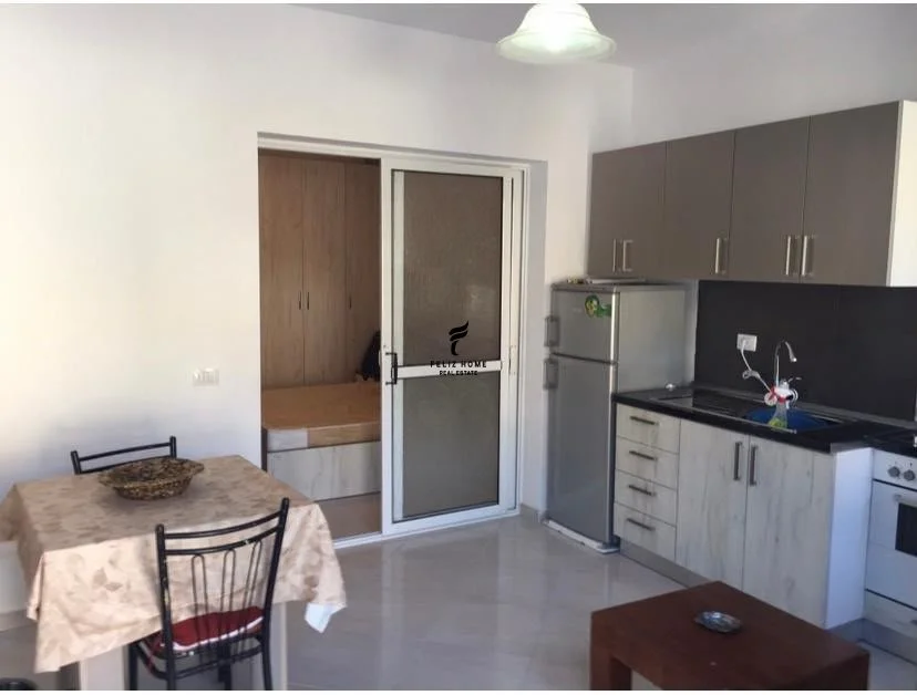 Tirana, Apartment for Rent 1+1, Floor 1, 40 m², €450 (CENTER)