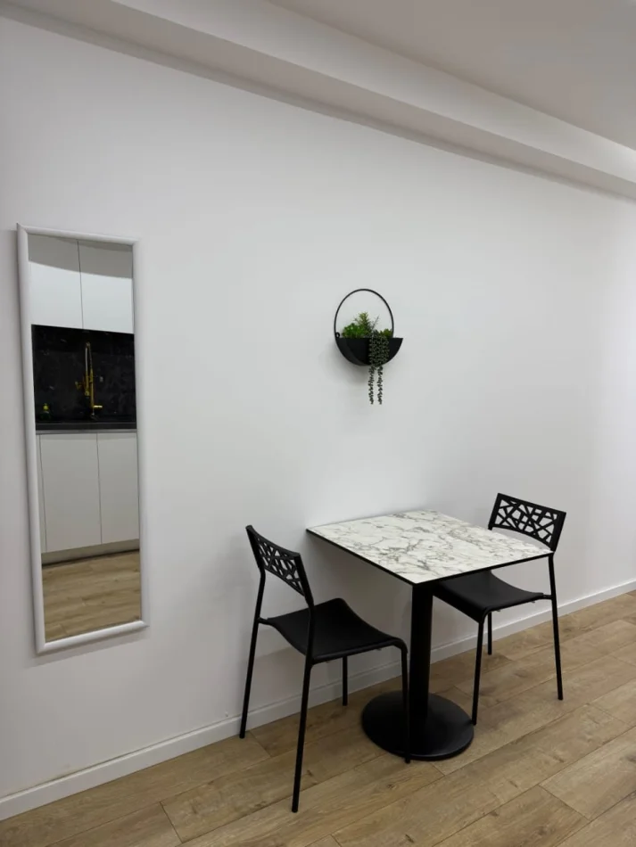Tirane, Apartment for Rent 1+1, First Floor, 40 m², €550 (21 Dhjetori)