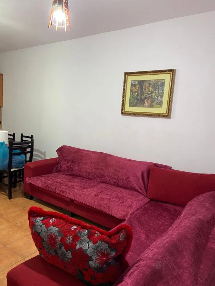 Tirane, Apartment for Rent 1+1, 3rd Floor, 68 m², €550 (Rruga Rifat Bodinaku)
