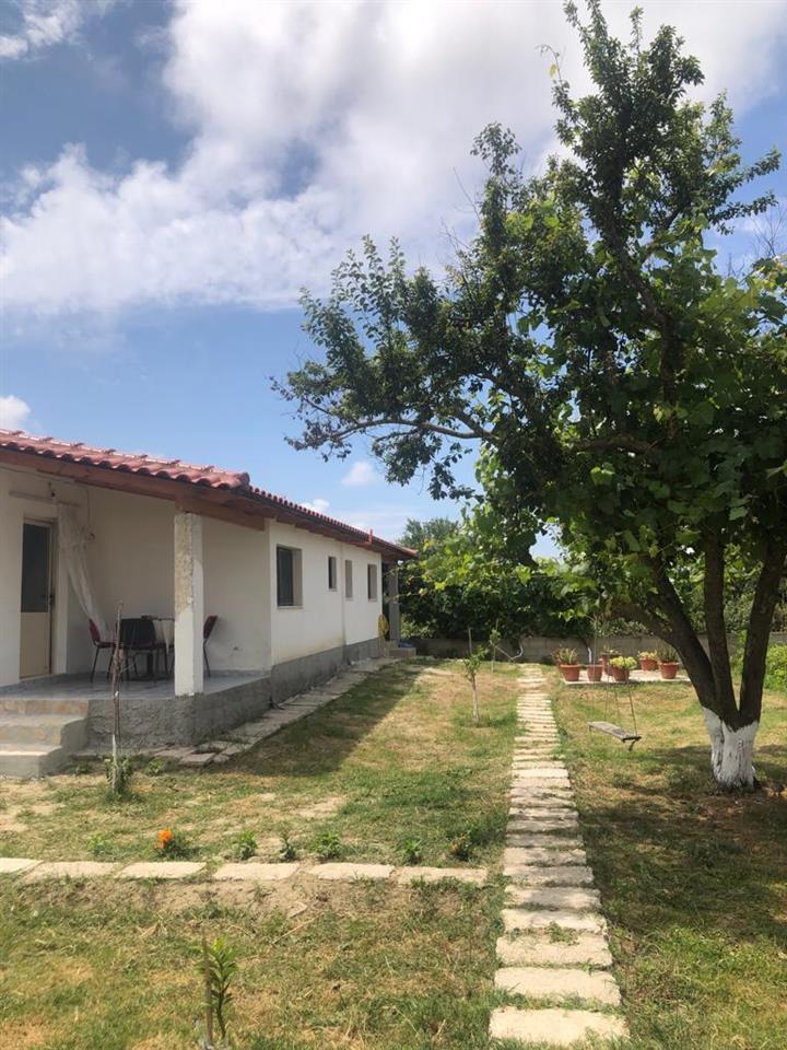 Holiday House