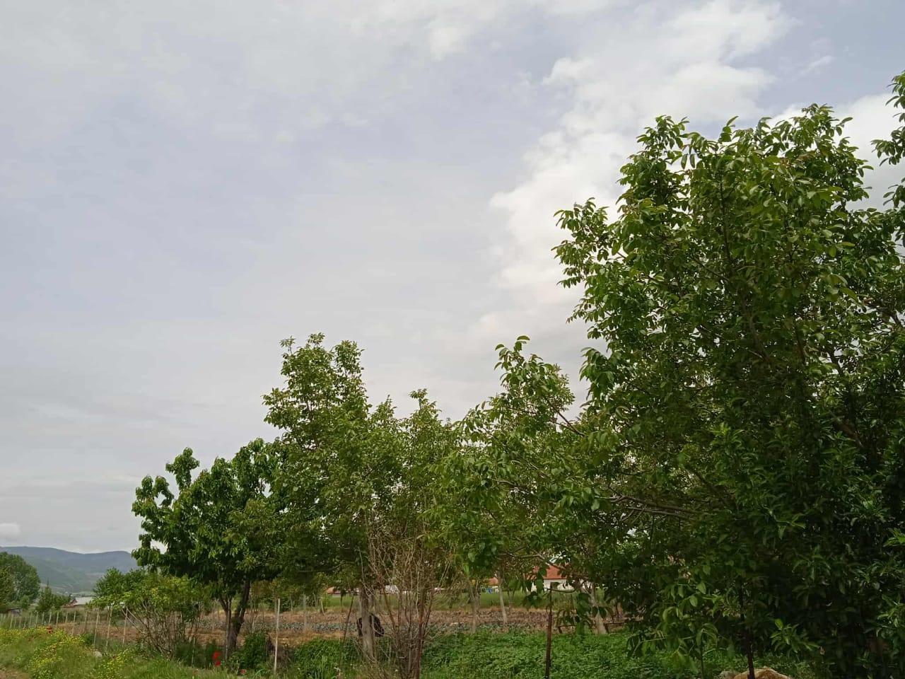 +3550682098305 PRIVATE HOUSE FOR SALE IN KORCE