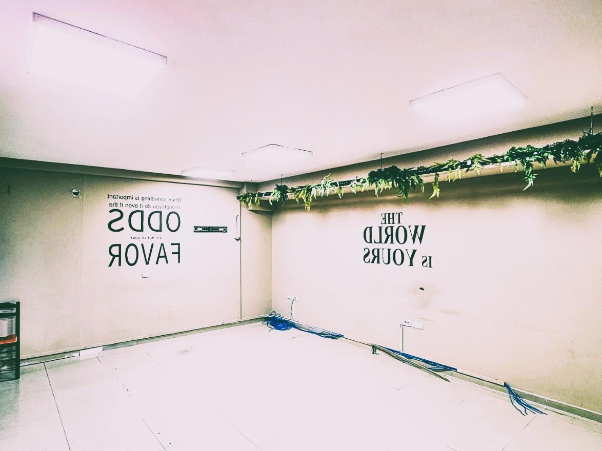 🏢 Ambient Komercial me Qira – 300 m² | Rruga e Dibrës, pran