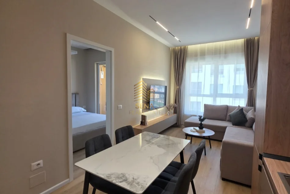 Tirane, Apartment for Rent 1+1+Balcony, 5th Floor, 58 m², 450 € (Ali Demi)
