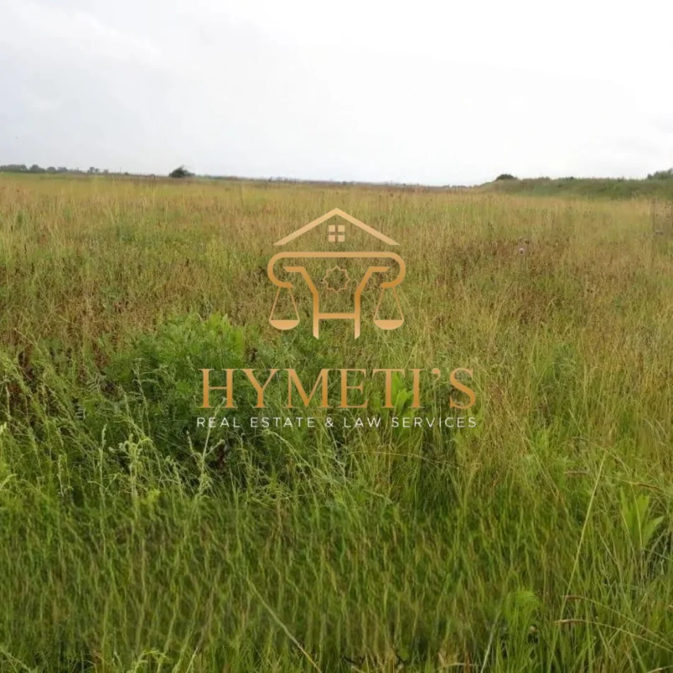 Tirane, Land for Sale, 5,600 m² €364,000 (Rruga e Re e Aeroportit)