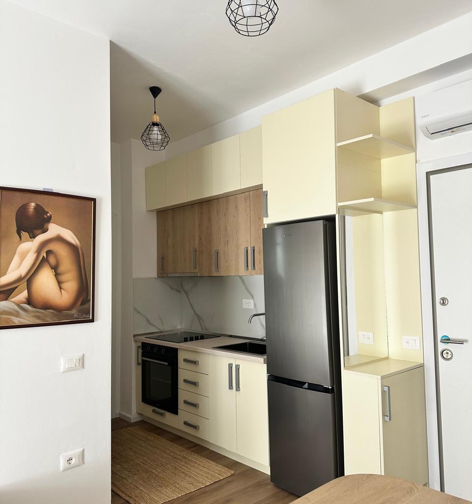 Apartament me qera 1+1 tek Ali Demi