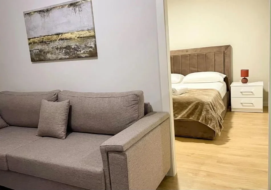 Tirana, for Rent 1+1 Apartment, 2nd Floor, 50 m², €650 (21 Dhjetori)