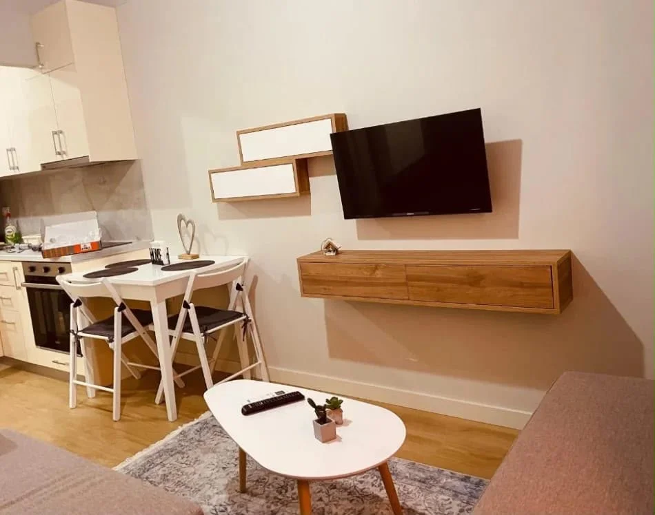 Tirana, for Rent 1+1 Apartment, 2nd Floor, 50 m², €650 (21 Dhjetori)