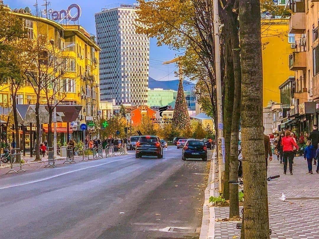 SHITET AMBIENT BIZNESI,RRUGA E DURRESIT,176.800 ERUO.