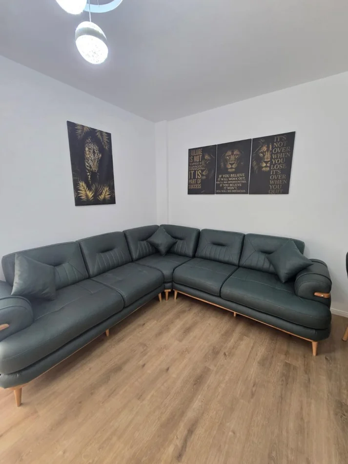 Tirane, affitto appartamento 1+1 Piano 2, 65 m² 450 € (Linzë)