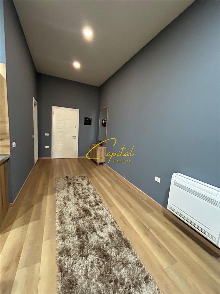 APARTMENT FOR RENT 1+1 ZOOLOGICAL GARDEN 650 EURO
