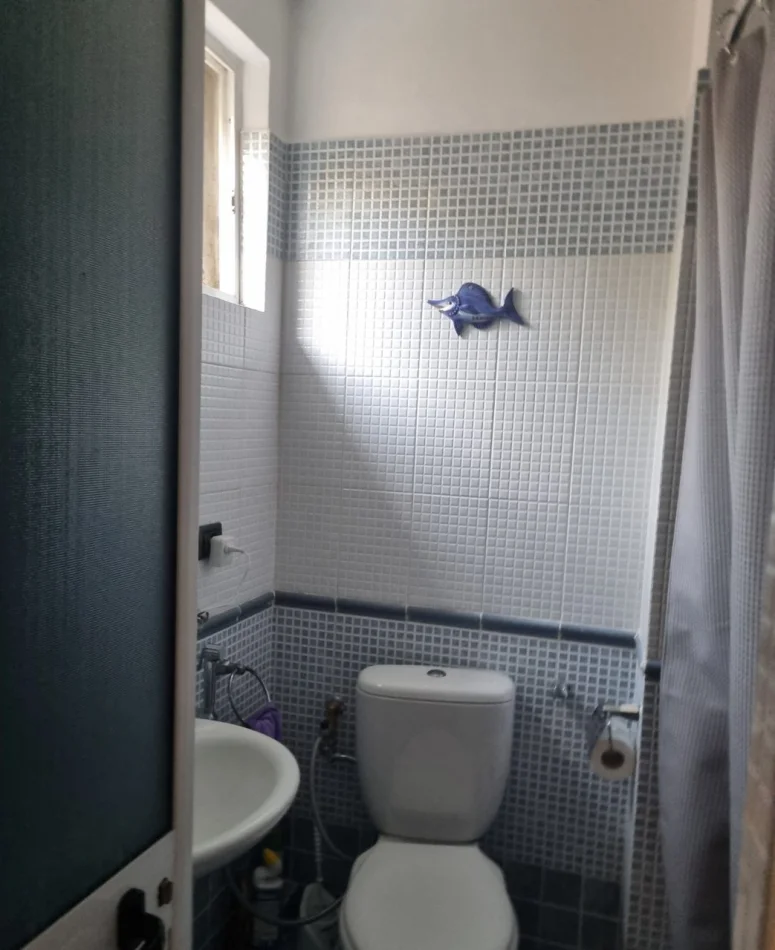 Tirane, affitto appartamento 1+1 al secondo piano, 50 m², 450 € (Ali Demi)