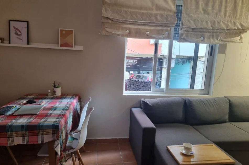 Tirane, affitto appartamento 1+1 al secondo piano, 50 m², 450 € (Ali Demi)