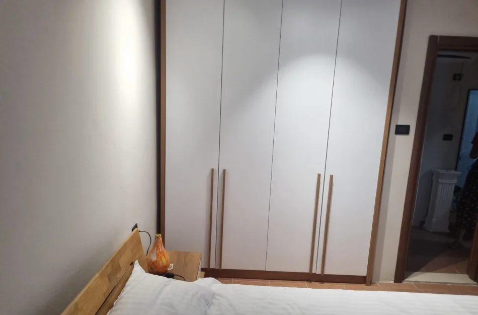 Tirane, affitto appartamento 1+1 al secondo piano, 50 m², 450 € (Ali Demi)