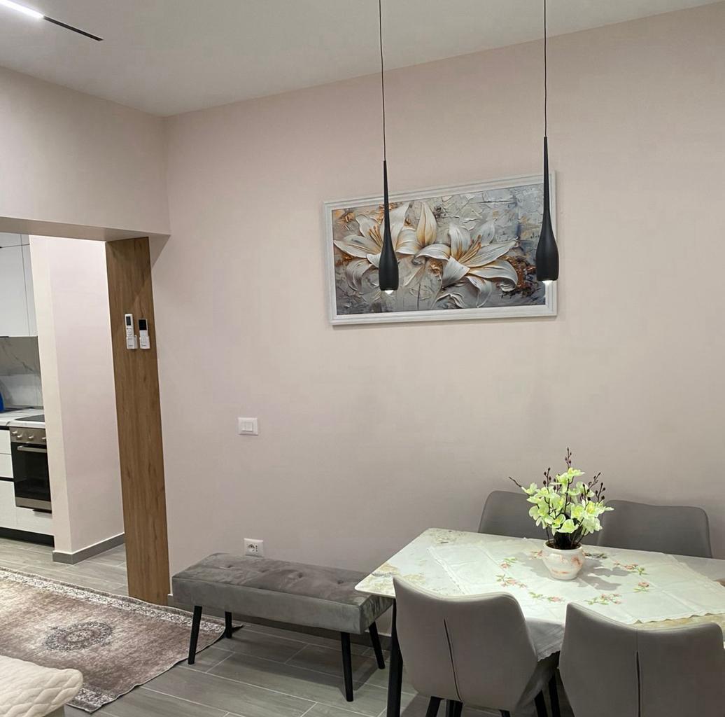 Appartamento con affitto 1+1 in via Elbasanit 85.000 LEKE