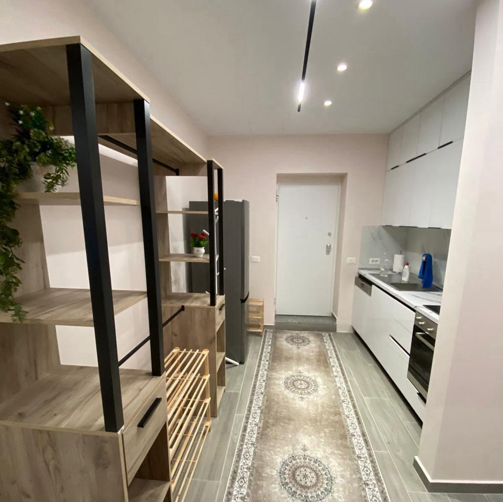 Appartamento con affitto 1+1 in via Elbasanit 85.000 LEKE