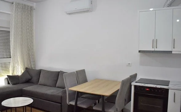 Tirane, affitto appartamento 1+1 al quinto piano, 60 m², 450 € (Ali Demi)
