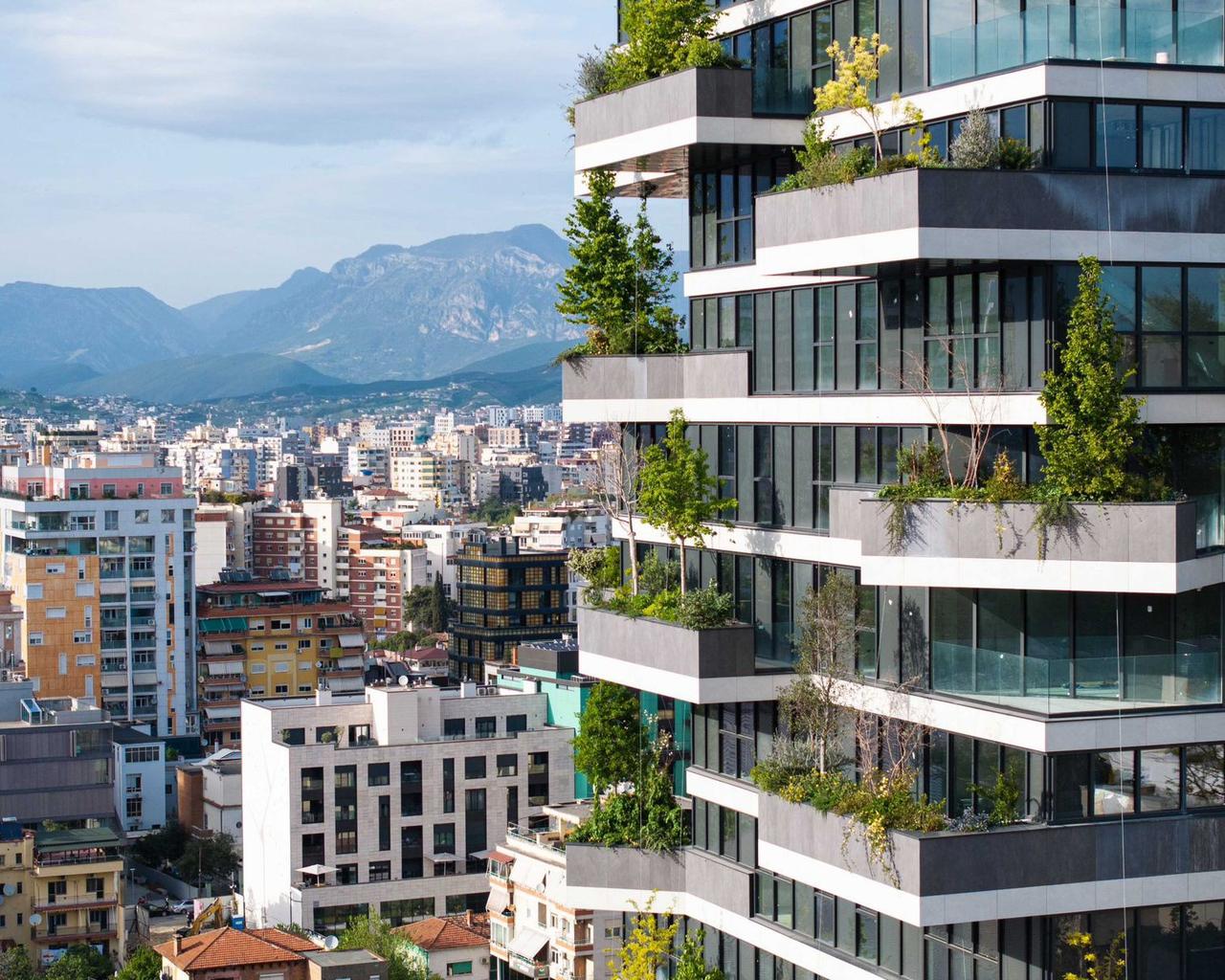 📌Jepet me Qira Ambient Zyre Premium - Vertikal Forest