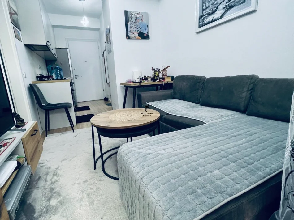 Tirane, affitto appartamento 1+1 al piano 6, 60 m², 400 € (ALI DEMI)