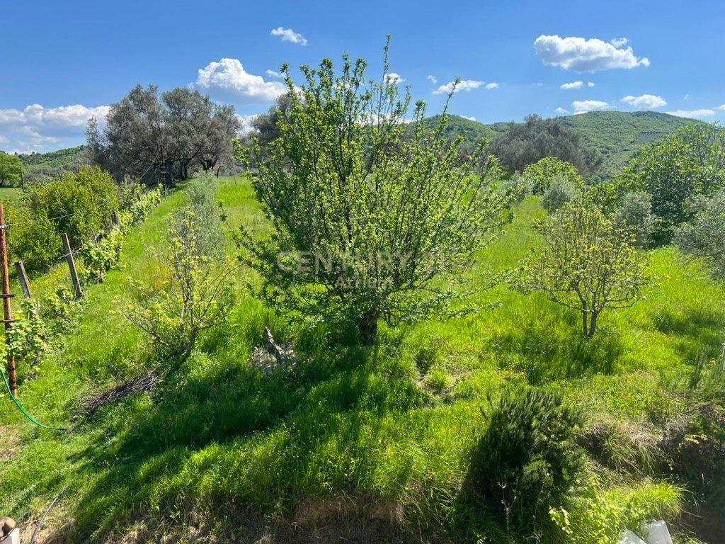 Vendita di Ville Private e Terreni con Vista Panoramica sul Lago