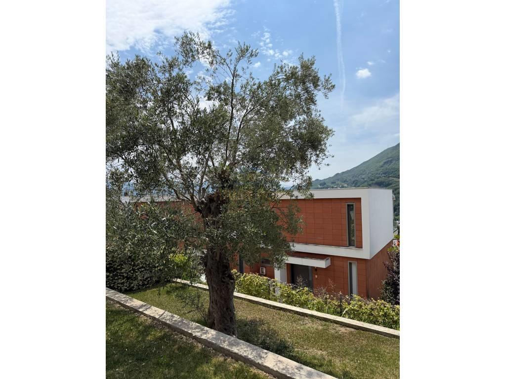 Vendita, Villa a 3 piani, Olive Grove Residence, Mullet