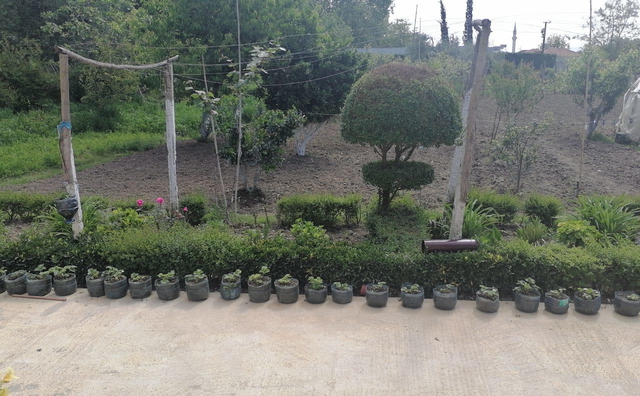 PRIVATE HOUSES FOR SALE IN JUBE VILLAGE, DURRËS