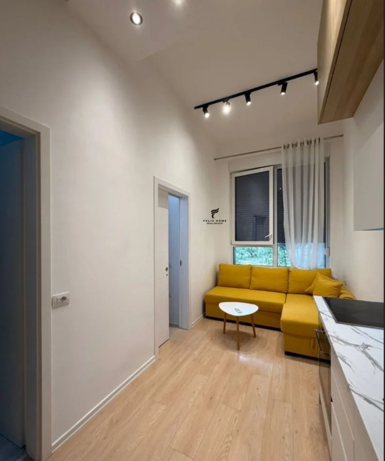 Tirane, affitto appartamento 1+1 al primo piano, 50 m², 500 € (21 dicembre)
