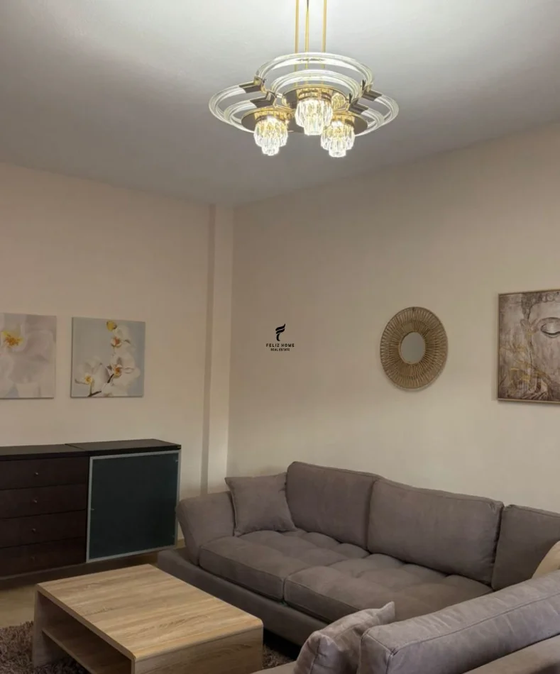 Tirana, Apartment for Rent 1+1, 2nd Floor, 90 m², 700 € (RRUGA E ELBASANIT)