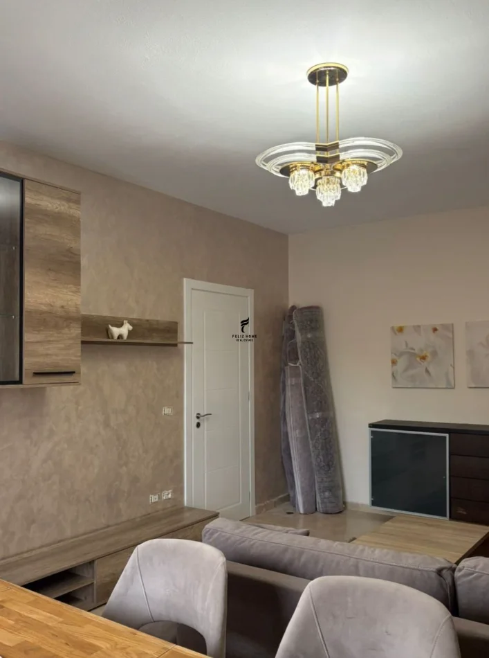 Tirana, Apartment for Rent 1+1, 2nd Floor, 90 m², 700 € (RRUGA E ELBASANIT)