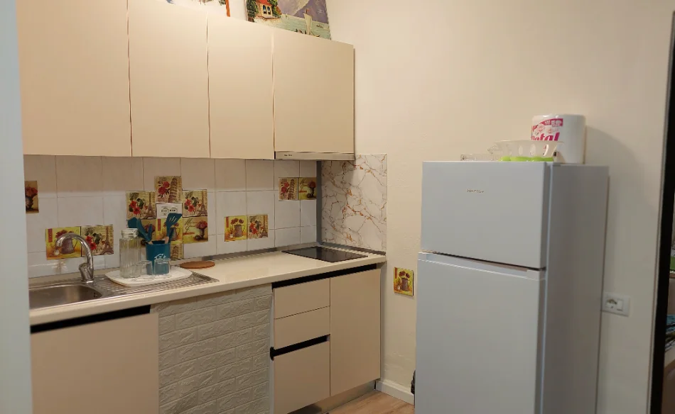Tirana, 1+1 Apartment for Rent, First Floor, 55 m², €600 (Myslym Shyri)