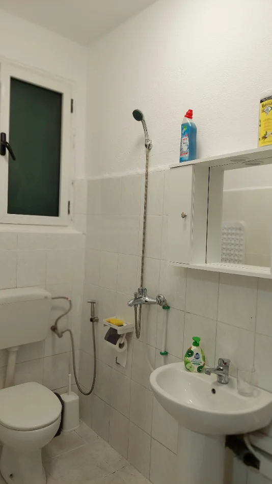 Tirana, 1+1 Apartment for Rent, First Floor, 55 m², €600 (Myslym Shyri)