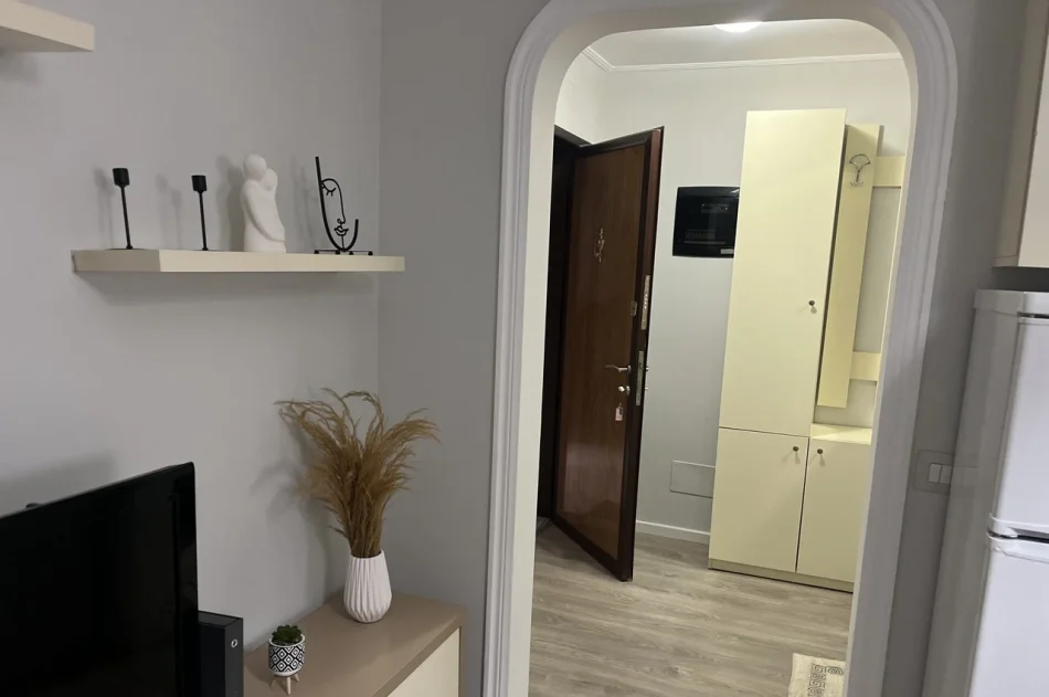 Tirane, Apartment 1+1 for Rent, 4th Floor, 50 m², 500 € (Brryli)
