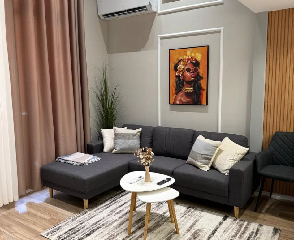 Tirana, For Rent 1+1 Apartment, 1st Floor, 70 m², €650 (Bedri Karapici Street)