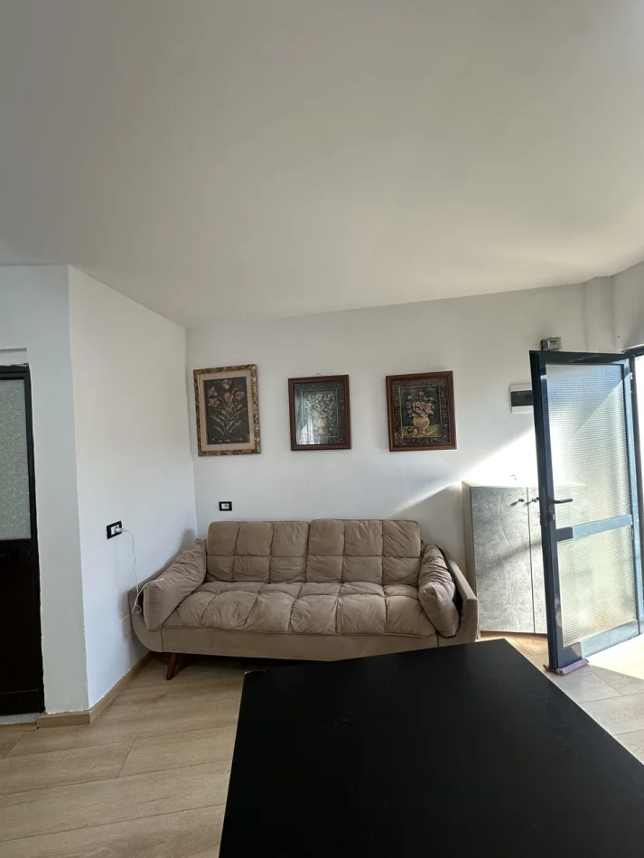 Tirana, Studio Apartment for Rent on 2nd Floor, 40 m², €350 (New Electric Market)