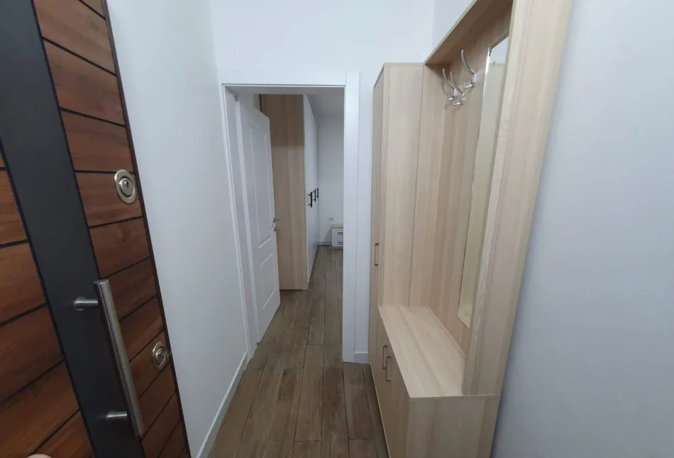 Tirane, Apartment for Rent 1+1, 4th Floor, 40 m², 450 € (Zogu i Zi)