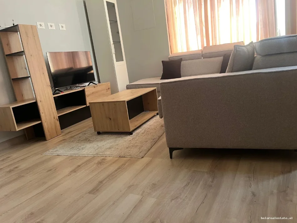 Tirane, Rental Apartment 2+1, 3rd Floor, 82 m², €530 (Sokrat Miho)