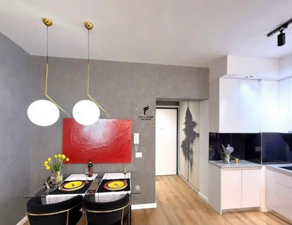 Tirane, affitto mensile appartamento 1+1 Piano 6, 77 m² 750 € (21 dicembre)