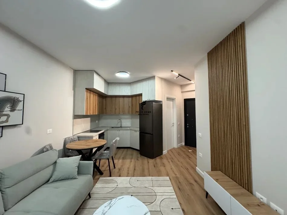 Tirana, Apartment for Rent 1+1, 3rd Floor, 70 m², 700 € (Cold Season)