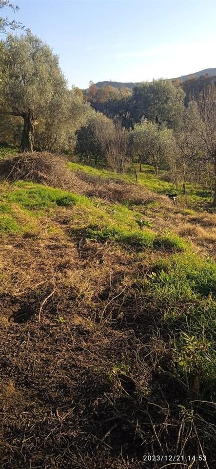 For Sale: House + Land 3800m², Shishtufinë!